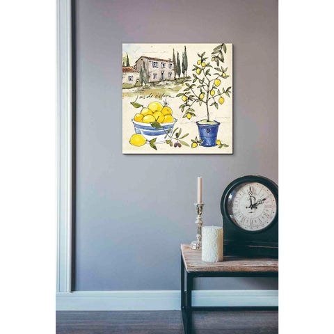 Image of 'Citron III' by Anne Tavoletti, Canvas Wall Art,18 x 18