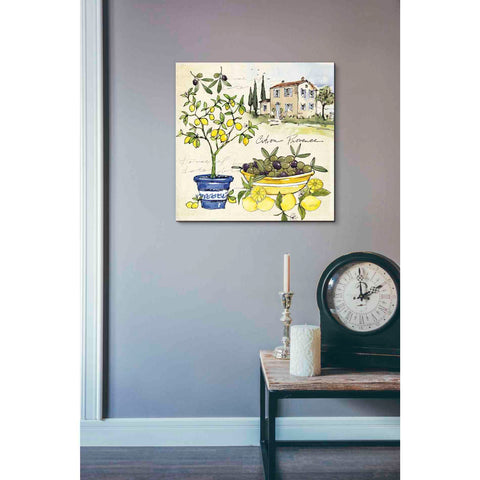 Image of 'Citron IV' by Anne Tavoletti, Canvas Wall Art,18 x 18