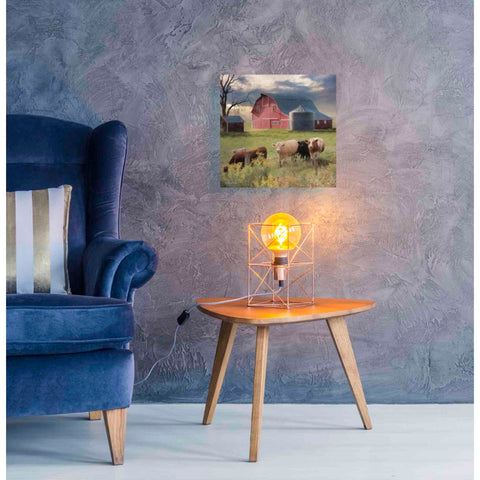 Image of 'Wyoming Sunset' by Lori Deiter, Canvas Wall Art,18 x 18