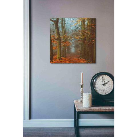 Image of 'Path of The Mystics' by Lars van de Goor, Giclee Canvas Wall Art