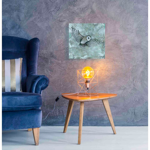 Image of 'Simplicity Owl' by Britt Hallowell, Canvas Wall Art,18 x 18