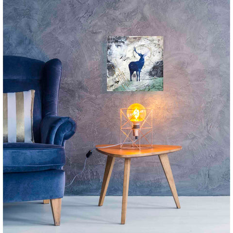 Image of 'Wanderer's Spirit' by Britt Hallowell, Canvas Wall Art,18 x 18