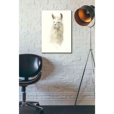 Image of 'Classic Llamas II' by Danhui Nai, Canvas Wall Art,18 x 26