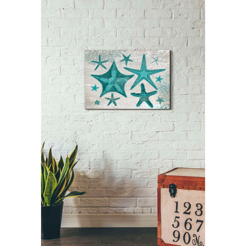 Image of 'Green Starfish Collection' by Fab Funky, Giclee Canvas Wall Art