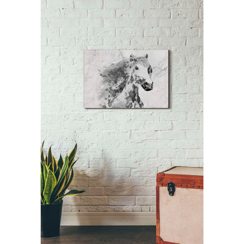 Image of 'White Stallion 1' by Irena Orlov, Canvas Wall Art,26 x 18