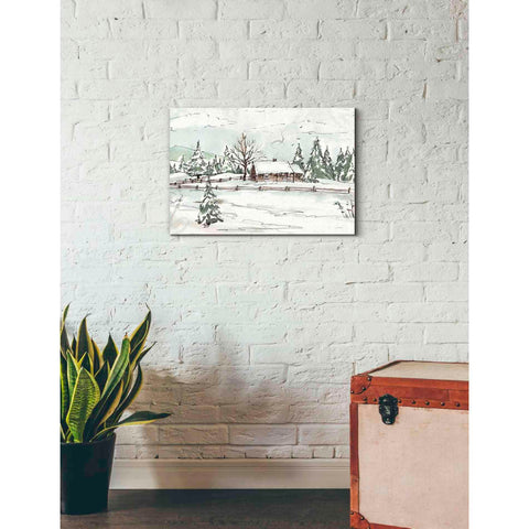 Image of 'WInter Wonderland X' by Anne Tavoletti, Canvas Wall Art,26 x 18