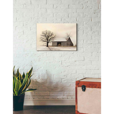 Image of 'Winter Shadows' by Lori Deiter, Canvas Wall Art,26 x 18