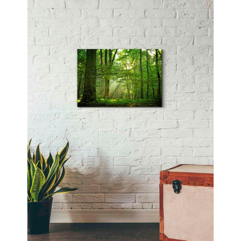 Image of 'Breathe' by Lars van de Goor, Giclee Canvas Wall Art