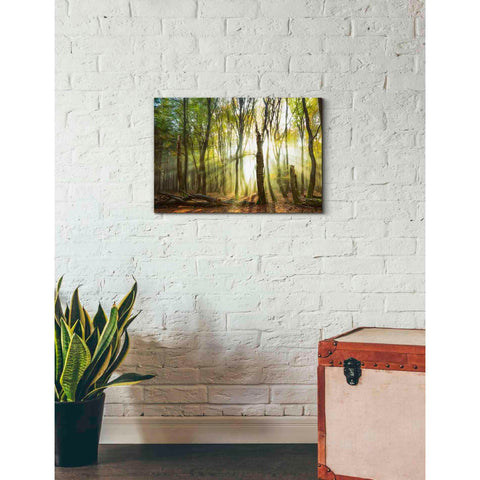 Image of 'Still Standing' by Lars van de Goor, Giclee Canvas Wall Art