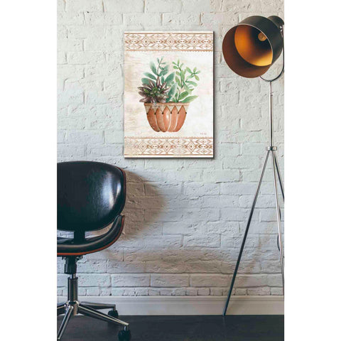 Image of 'Southwest Terracotta Succulents I' by Cindy Jacobs, Giclee Canvas Wall Art