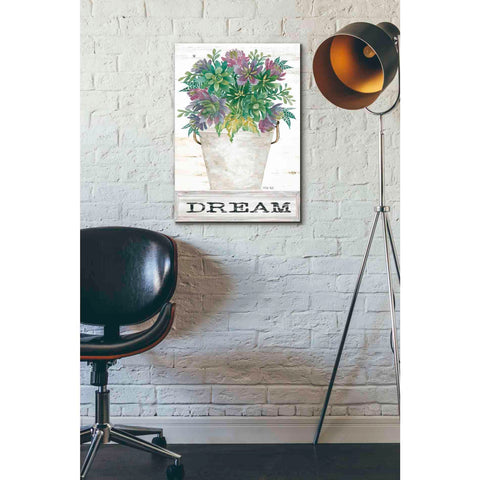 Image of 'Dream Succulents' by Cindy Jacobs, Canvas Wall Art,18 x 26