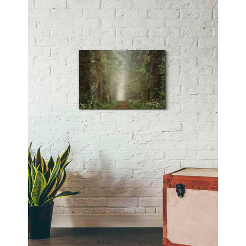 Image of 'Misty Spring Road' by Martin Podt, Canvas Wall Art,26 x 18