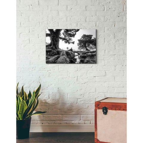 Image of 'Black & White Fanal' by Martin Podt, Canvas Wall Art,26 x 18