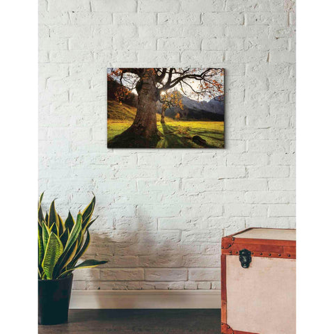 Image of 'The Star' by Martin Podt, Canvas Wall Art,26 x 18