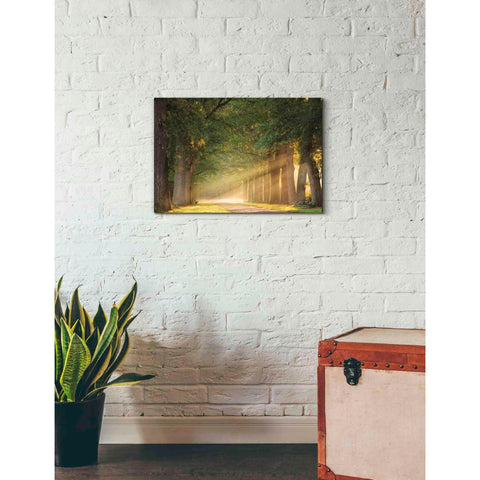 Image of 'Perfect Place to Sit' by Martin Podt, Canvas Wall Art,26 x 18