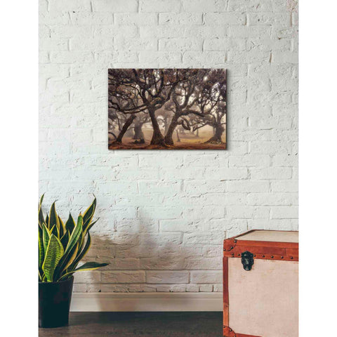 Image of 'The Hidden Truth' by Martin Podt, Canvas Wall Art,26 x 18