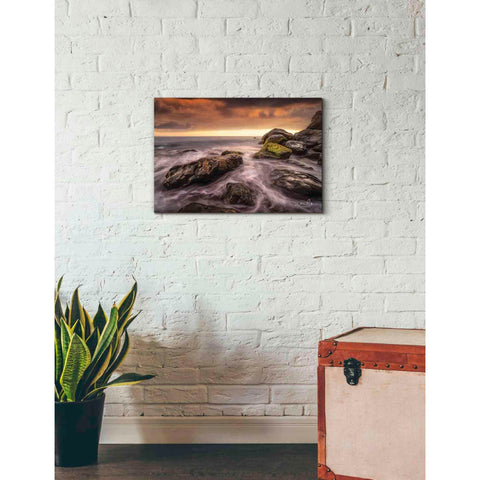 Image of 'Simplicity' by Martin Podt, Canvas Wall Art,26 x 18