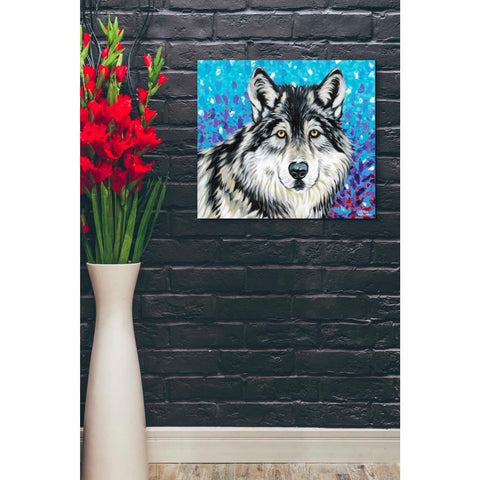 Image of 'Grey Wolf II' by Carolee Vitaletti, Giclee Canvas Wall Art