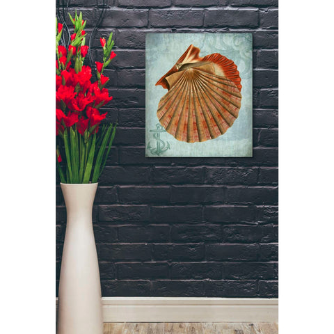 Image of 'Coastal Life Collection 2 c,' by Fab Funky, Giclee Canvas Wall Art
