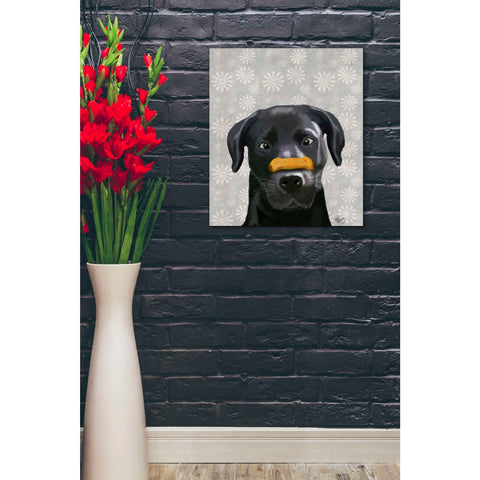 Image of 'Black Labrador With Bone on Nose' by Fab Funky, Giclee Canvas Wall Art