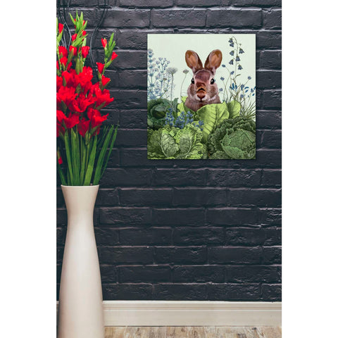Image of 'Cabbage Patch Rabbit 6 ' by Fab Funky, Giclee Canvas Wall Art