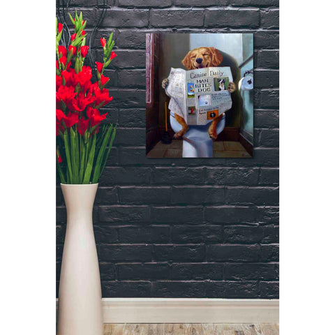 Image of 'Dog Gone Funny' by Lucia Heffernan, Canvas Wall Art,20 x 24