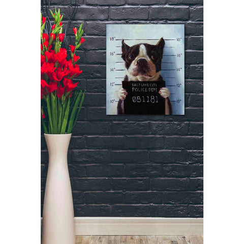 Image of 'Mug Shot' by Lucia Heffernan, Canvas Wall Art,20 x 24