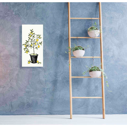 Image of 'Citron V' by Anne Tavoletti, Canvas Wall Art,20 x 40