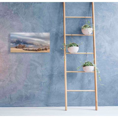 Image of 'Tornado Warning' by Lori Deiter, Canvas Wall Art,40 x 20