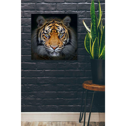 Image of 'Wild Side' Giclee Canvas Wall Art