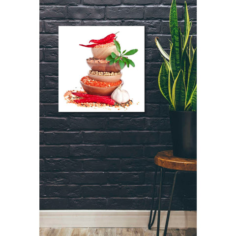Image of 'Spice of Life' Giclee Canvas Wall Art