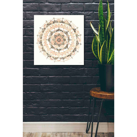 Image of 'Blush Mandala' by Danhui Nai, Canvas Wall Art,26 x 26