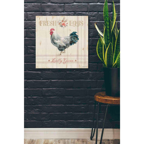 Image of 'Farm Patchwork VIII' by Danhui Nai, Canvas Wall Art,26 x 26