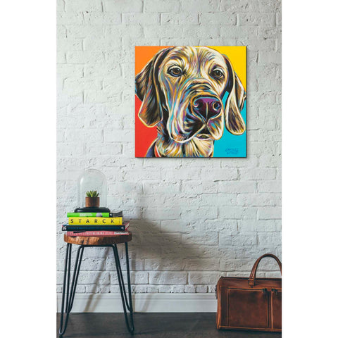 Image of 'Canine Buddy II' by Carolee Vitaletti, Giclee Canvas Wall Art