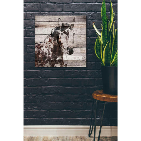 Image of 'Poly 2' by Irena Orlov, Canvas Wall Art,26 x 26