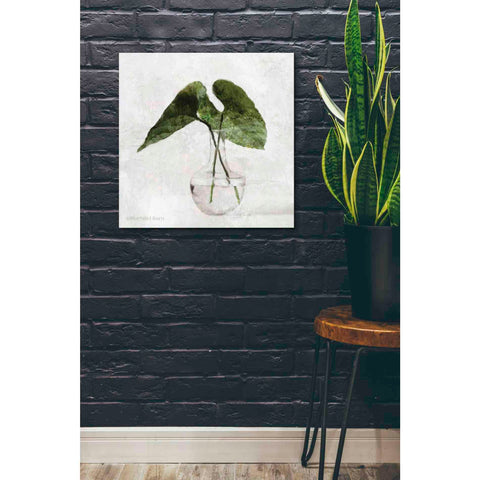 Image of 'Stems in Glass' by Bluebird Barn, Canvas Wall Art,26 x 26