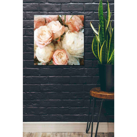 Image of 'English Rose Garden' by Bluebird Barn, Canvas Wall Art,26 x 26