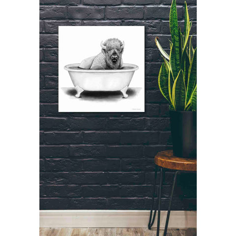 Image of 'Bison in Tub' by Rachel Nieman, Canvas Wall Art,26 x 26