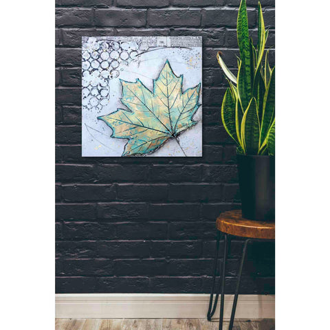 Image of 'Channeling Fall 2' by Britt Hallowell, Canvas Wall Art,26 x 26