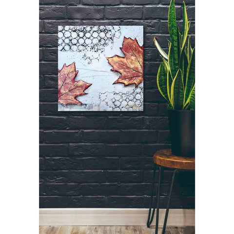 Image of 'Channeling Fall 3' by Britt Hallowell, Canvas Wall Art,26 x 26