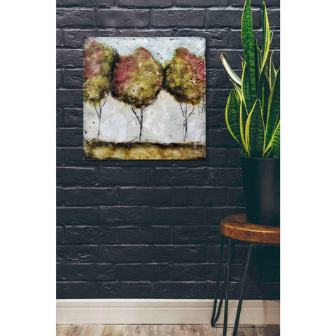 Image of 'A Fall Stroll' by Britt Hallowell, Canvas Wall Art,26 x 26