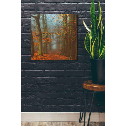 Image of 'Path of The Mystics' by Lars van de Goor, Giclee Canvas Wall Art