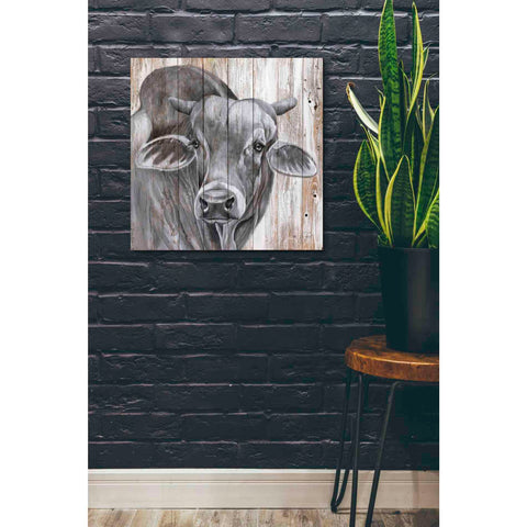 Image of 'Eyes Wide Open' by Diane Fifer, Giclee Canvas Wall Art