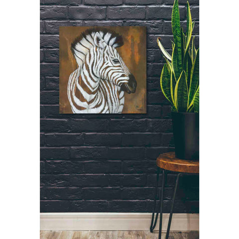 Image of 'Serengeti Rock Star' by Britt Hallowell, Canvas Wall Art,26 x 26