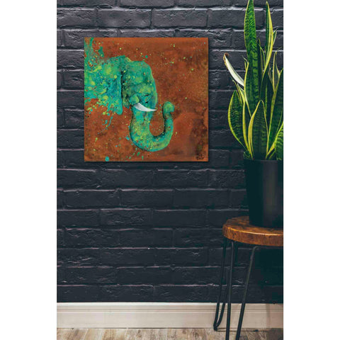 Image of 'Splashing Forth' by Britt Hallowell, Canvas Wall Art,26 x 26