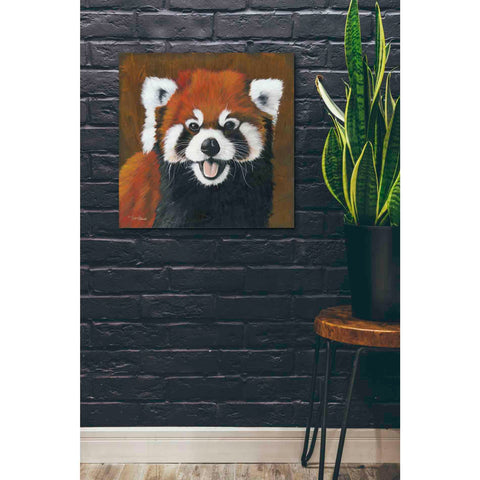 Image of 'Red' by Britt Hallowell, Canvas Wall Art,26 x 26