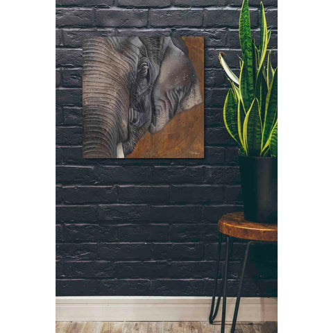 Image of 'The Gentlest Giant' by Britt Hallowell, Canvas Wall Art,26 x 26