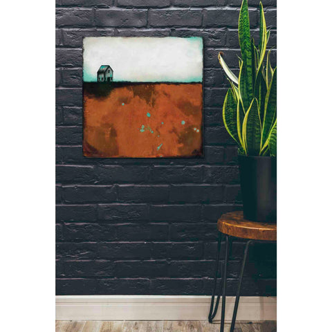 Image of 'Country Solace' by Britt Hallowell, Canvas Wall Art,26 x 26