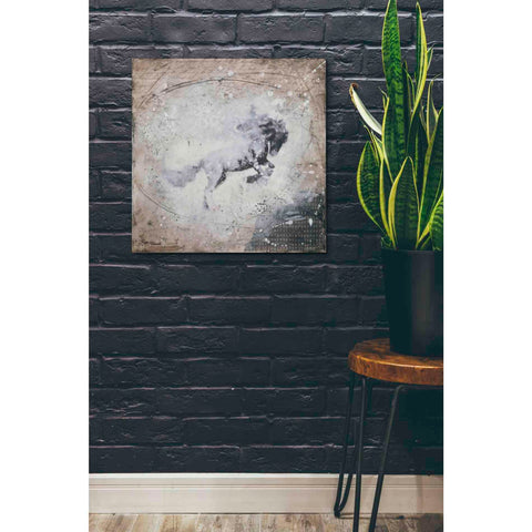 Image of 'Wild Spirit' by Britt Hallowell, Canvas Wall Art,26 x 26