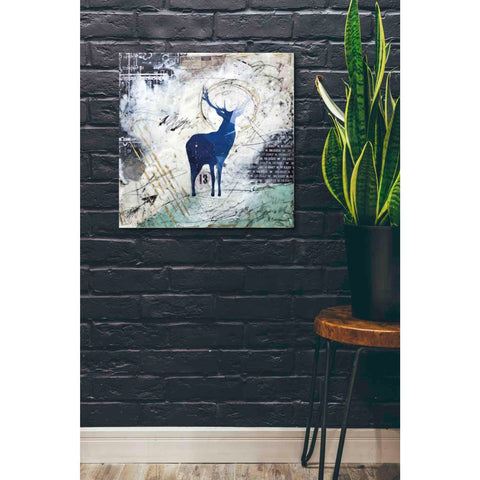 Image of 'Wanderer's Spirit' by Britt Hallowell, Canvas Wall Art,26 x 26